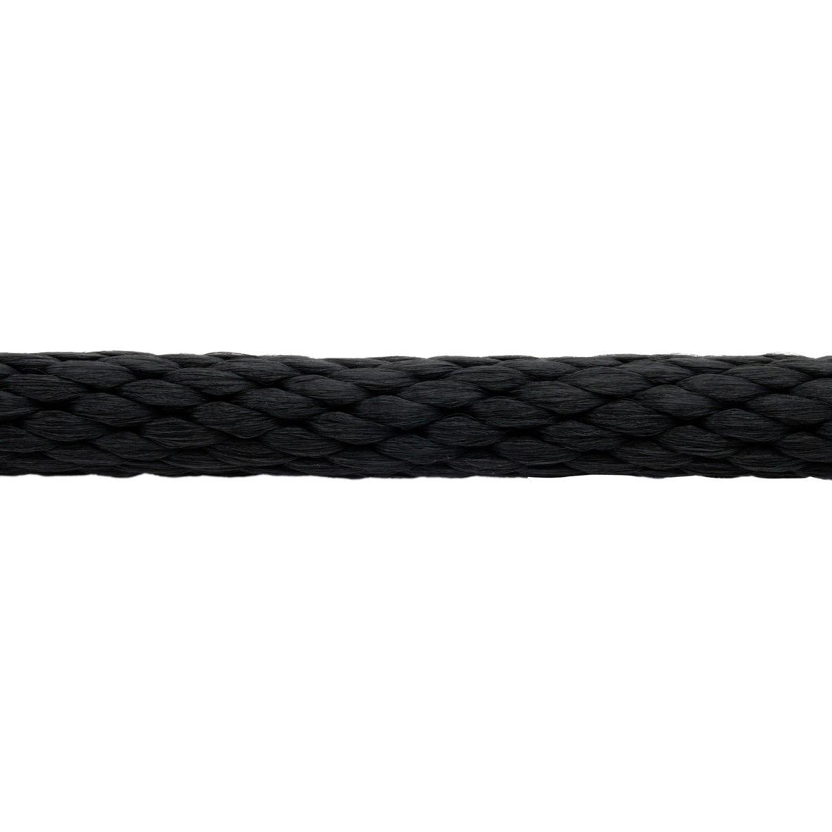 Poly Lead Rope with Brass Plated Bull Trigger Snap