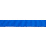 Flat Nylon Lunge Line with Snap, 1" x 30'