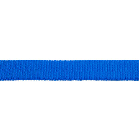 Flat Nylon Lunge Line, 1" x 30 with Snap