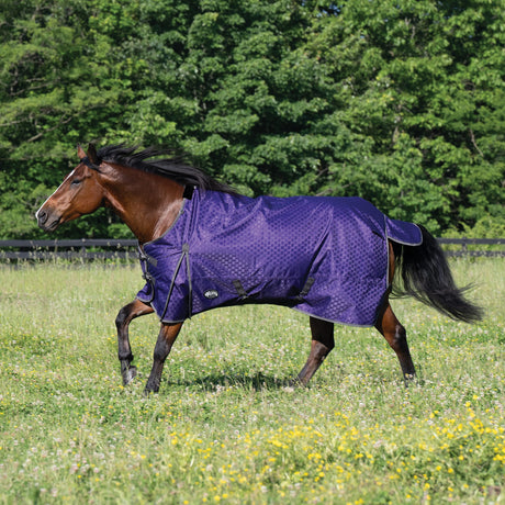 Premium Turnout Blanket, Heavy Weight 300g, 1200D