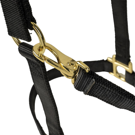 Poly Horse Halter, Adjustable, Weanling to Large