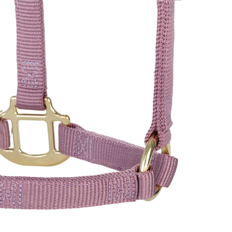 Original Non-Adjustable Halter, Weanling/Pony, 3/4"