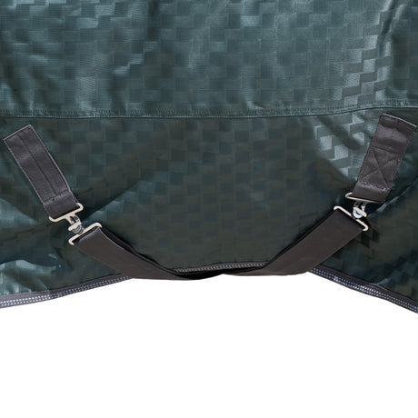Premium Turnout Blanket, Medium Weight 200g, 600D