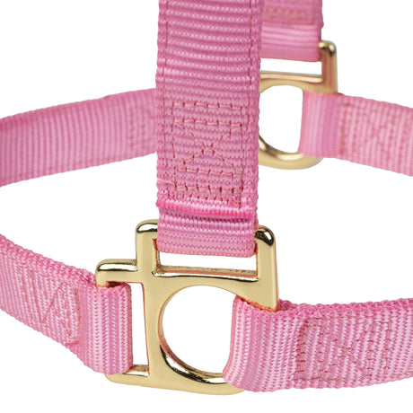 Poly Horse Halter, Non-Adjustable with Throat Snap, Weanling to Large