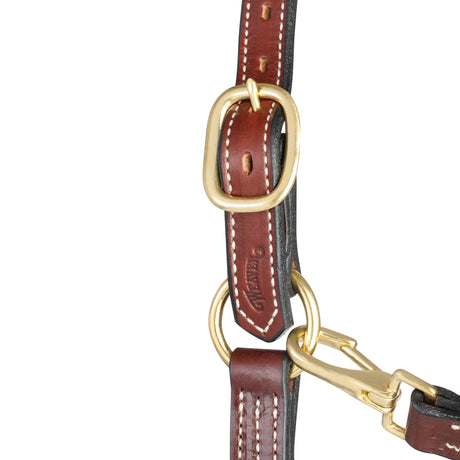 1" Triple Stitch Fixed Chin Leather Halter