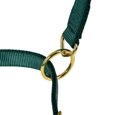Poly Horse Halter, Adjustable, Weanling to Large