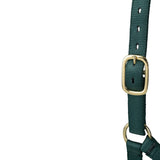 Poly Horse Halter, Non-Adjustable, Weanling to Large