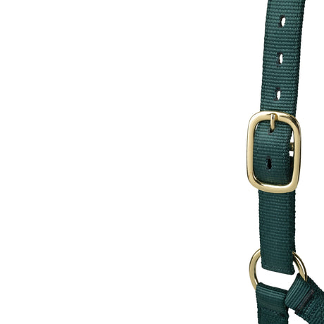 Poly Horse Halter, Non-Adjustable, Weanling to Large