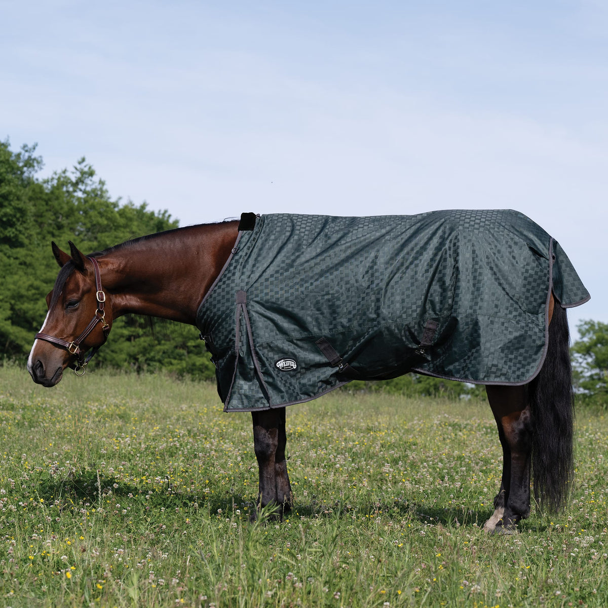 Premium Turnout Blanket, Heavy Weight 300g, 1200D