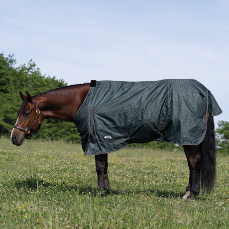 Premium Turnout Blanket, Medium Weight 200g, 600D