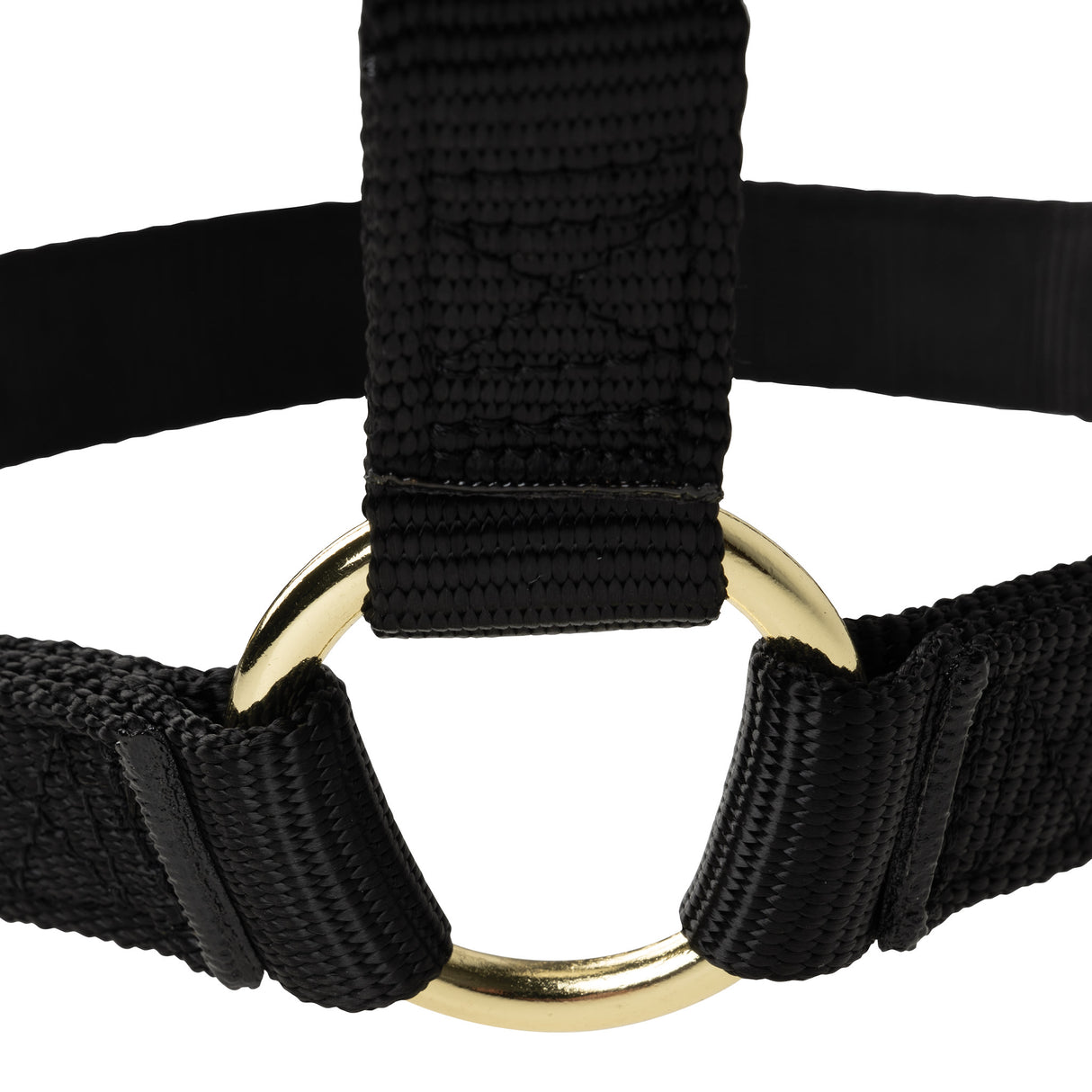 Poly Horse Halter, Non-Adjustable, Weanling to Large