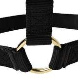 Poly Horse Halter, Non-Adjustable, Weanling to Large