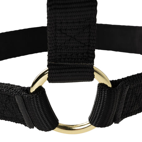 Poly Horse Halter, Non-Adjustable, Weanling to Large