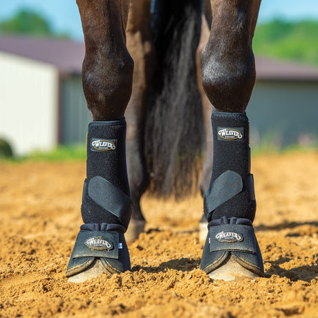 Prodigy® F3 Horse Sport Boots, Medium