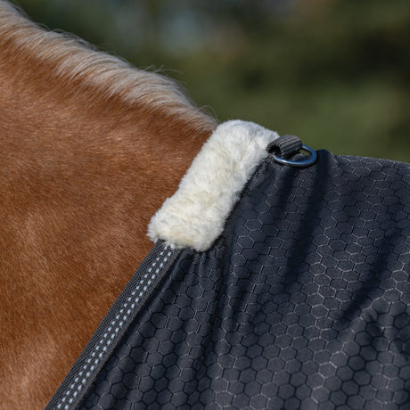 Premium Turnout Blanket, Medium Weight 200g, 600D