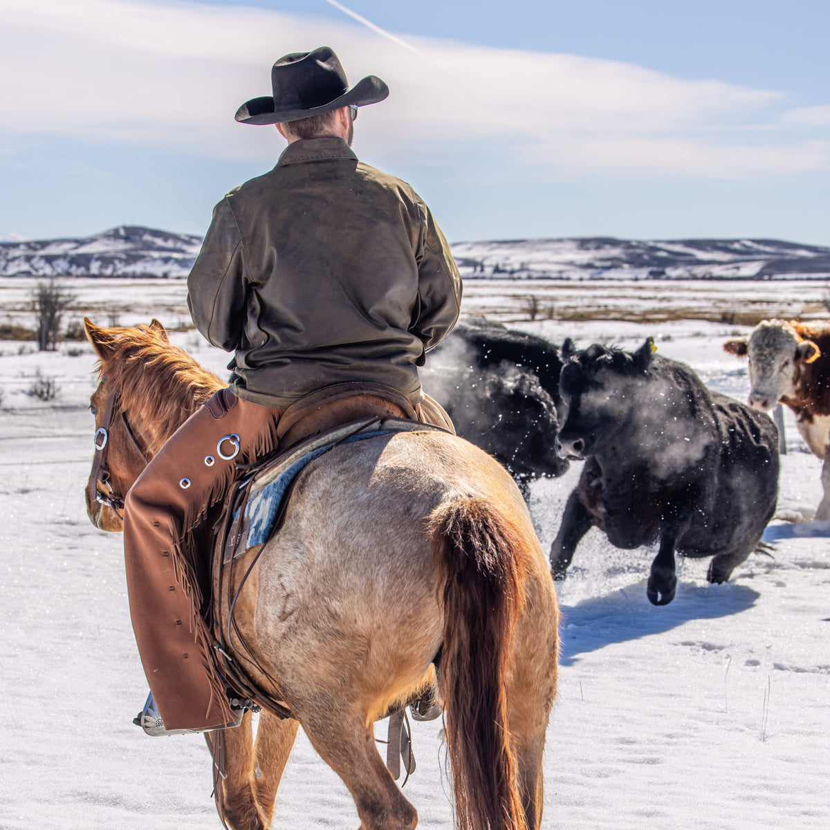 Western Leather Chaps, Water Resistant Hermann Oak