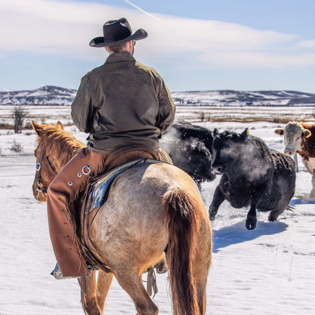 Western Leather Chaps, Water Resistant Hermann Oak