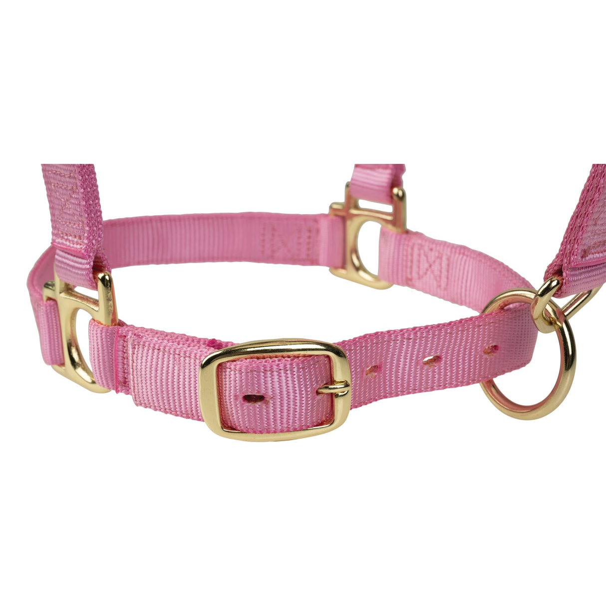 Poly Horse Halter, Adjustable, Weanling to Large