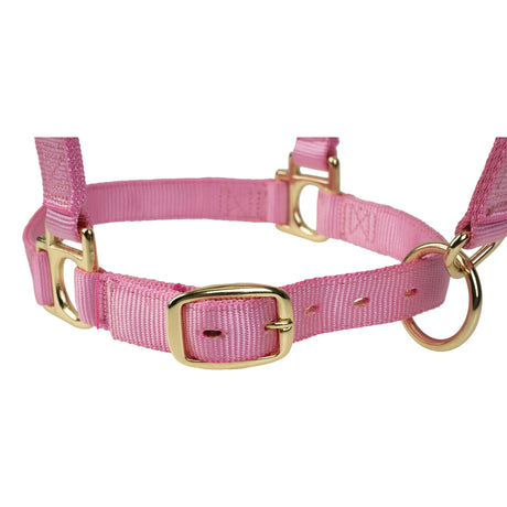 Poly Horse Halter, Adjustable, Weanling to Large