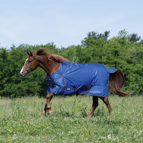 Premium Turnout Blanket, Heavy Weight 300g, 1200D