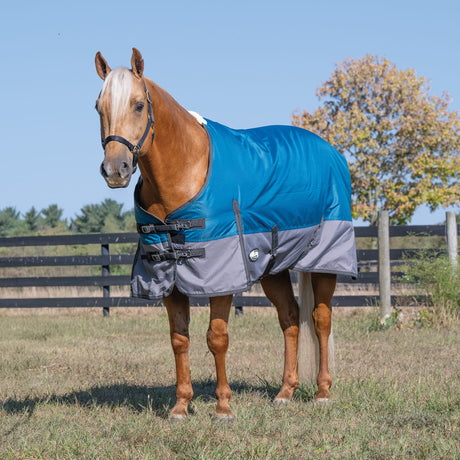 Premium Turnout Blanket, Medium Weight 200g, 600D