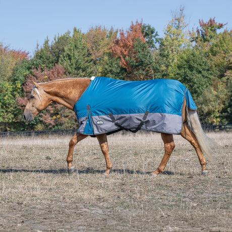 Premium Turnout Blanket, Medium Weight 200g, 600D