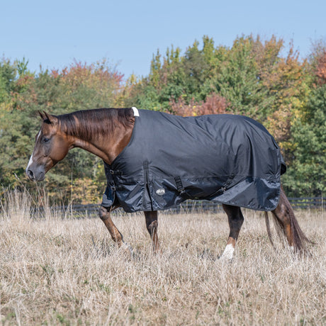 Economy Winter Turnout Blanket, Heavy Weight, 300g, 1200D