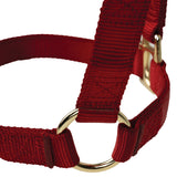 Poly Horse Halter, Non-Adjustable with Throat Snap, Weanling to Large