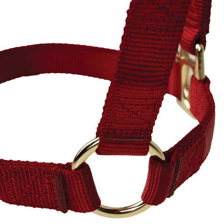 Poly Horse Halter, Non-Adjustable with Throat Snap, Weanling to Large