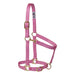 Poly Horse Halter, Adjustable, Weanling to Large