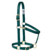 Poly Horse Halter, Adjustable, Weanling to Large