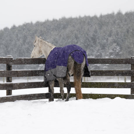 Premium Turnout Blanket, Medium Weight 200g, 600D