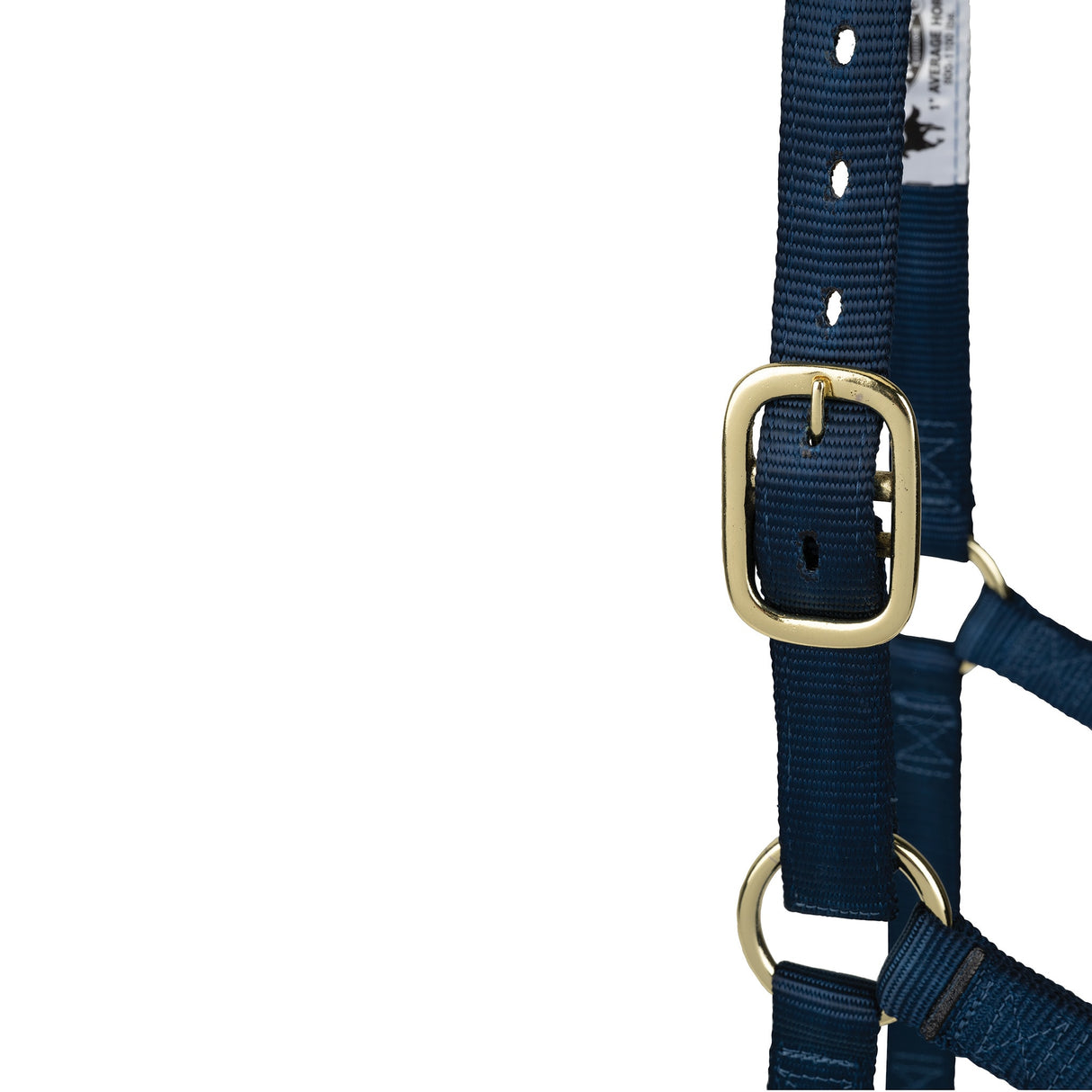 Poly Horse Halter, Non-Adjustable, Weanling to Large
