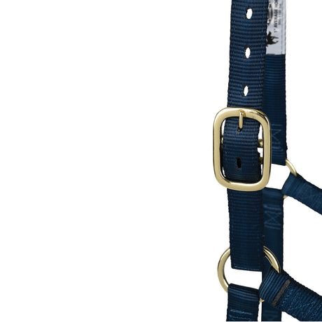 Poly Horse Halter, Non-Adjustable, Weanling to Large