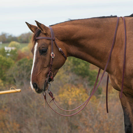 Latigo Western Headstall