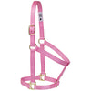 Poly Horse Halter, Non-Adjustable, Weanling to Large