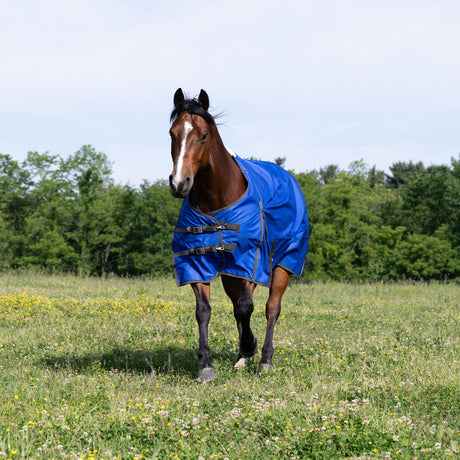 Premium Turnout Blanket, Medium Weight 200g, 600D
