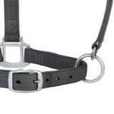 Original Adjustable Nylon Halter with Chrome Plated Hardware