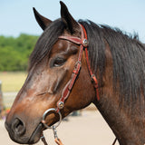 Texas Star Chestnut Browband Headstall