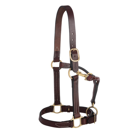 1" Basic Leather Halter
