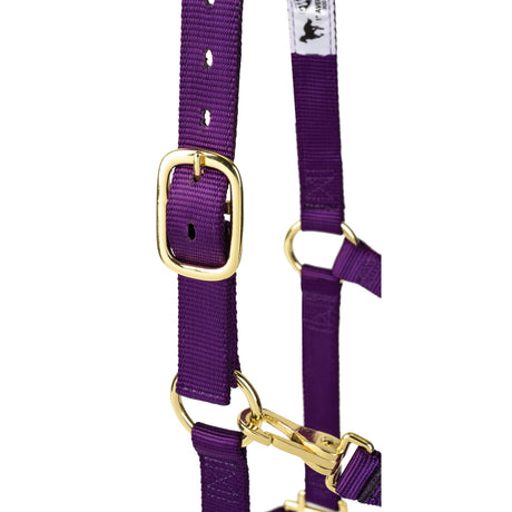 Poly Horse Halter, Adjustable, Weanling to Large
