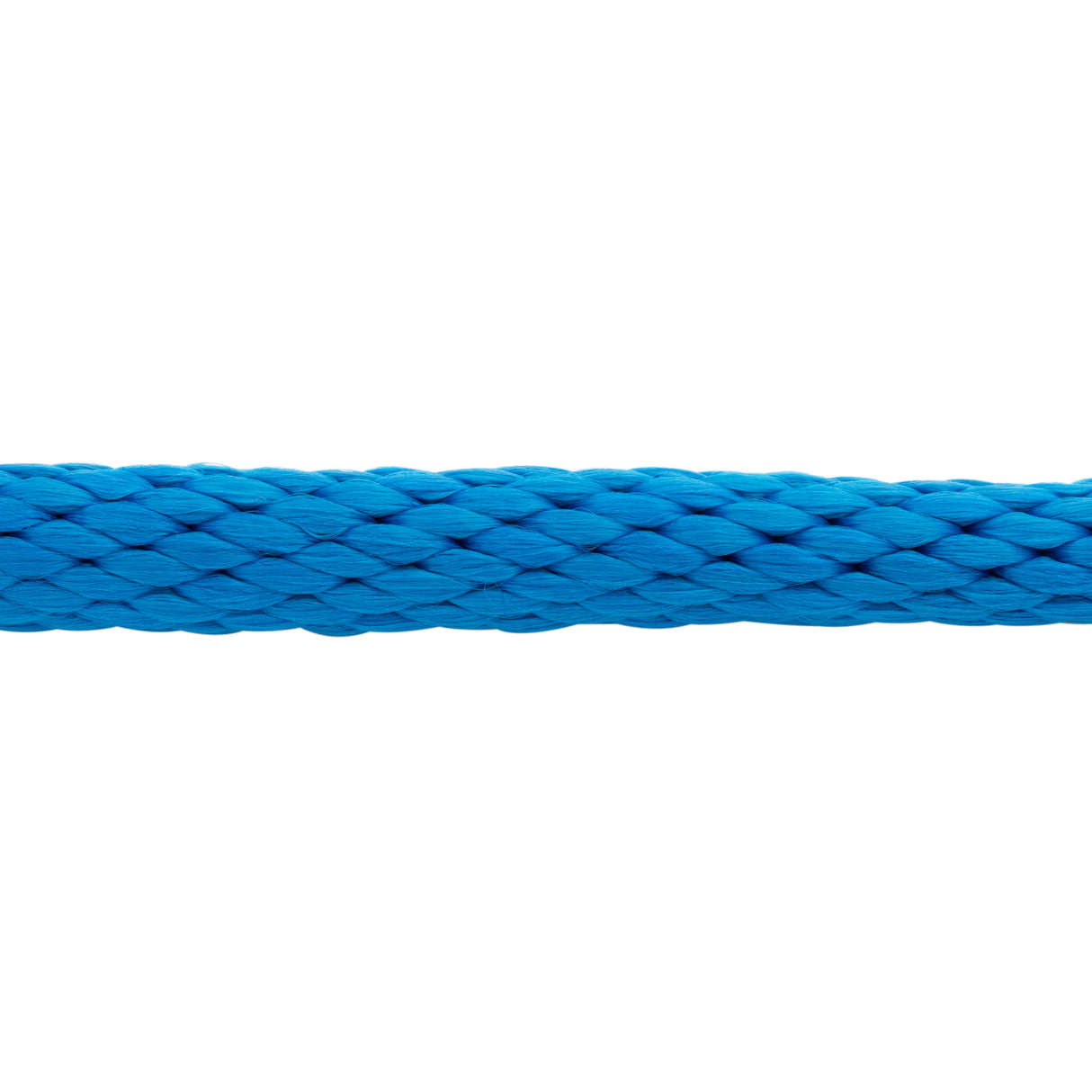 Poly Lead Rope with Brass Plated Swivel Chain