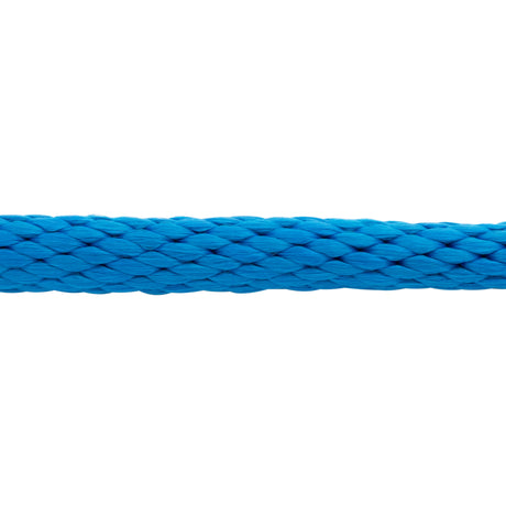 Poly Lead Rope with Brass Plated Swivel Chain