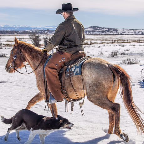 Western Leather Chaps, Water Resistant Hermann Oak
