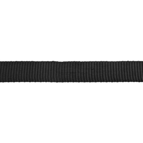 Flat Nylon Lunge Line, 1" x 24 with Chain