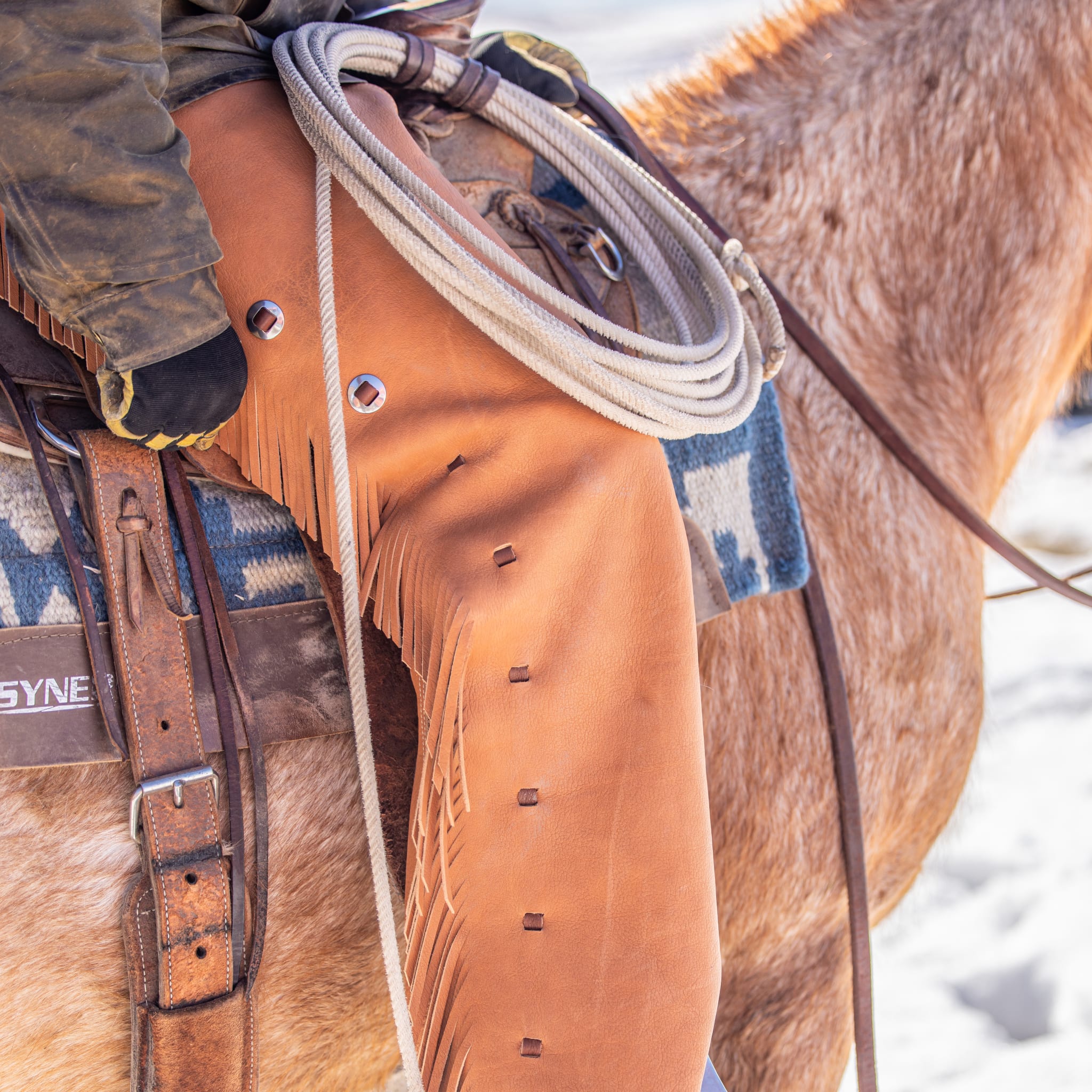 Leather Cowboy Chaps, Water Resistant Hermann Oak | Weaver Equine