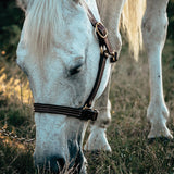 1" Track Halter