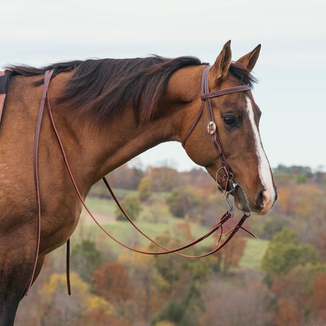 Latigo Western Headstall