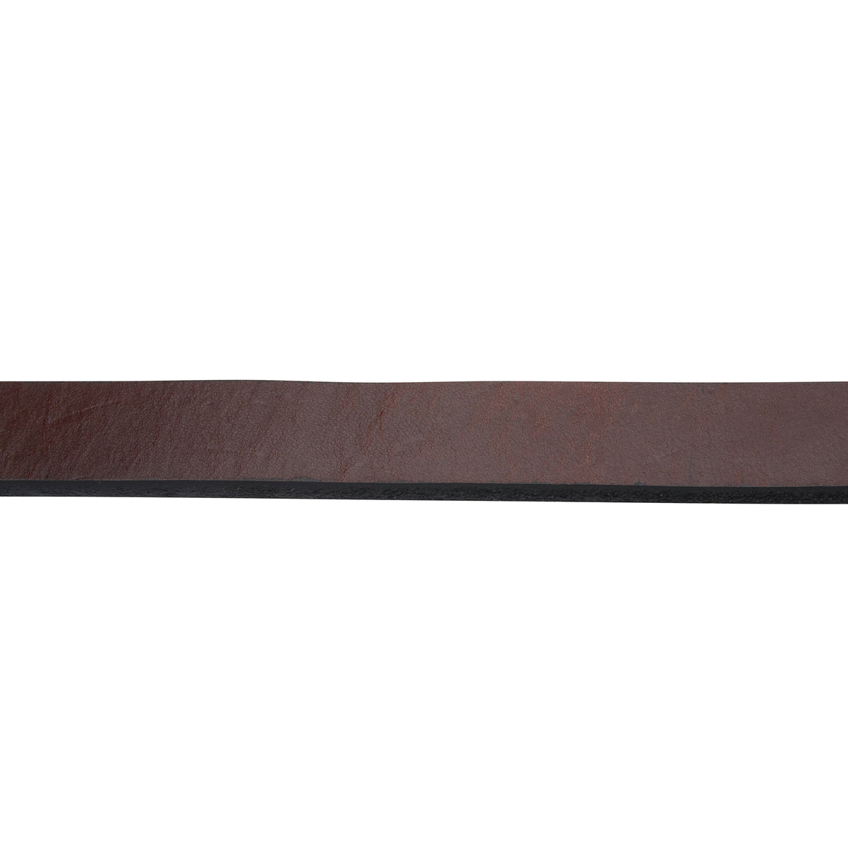 1" Single-Ply Horse Lead, with 24" Brass Plated Chain