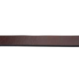 1" Single-Ply Horse Lead, with 24" Brass Plated Chain